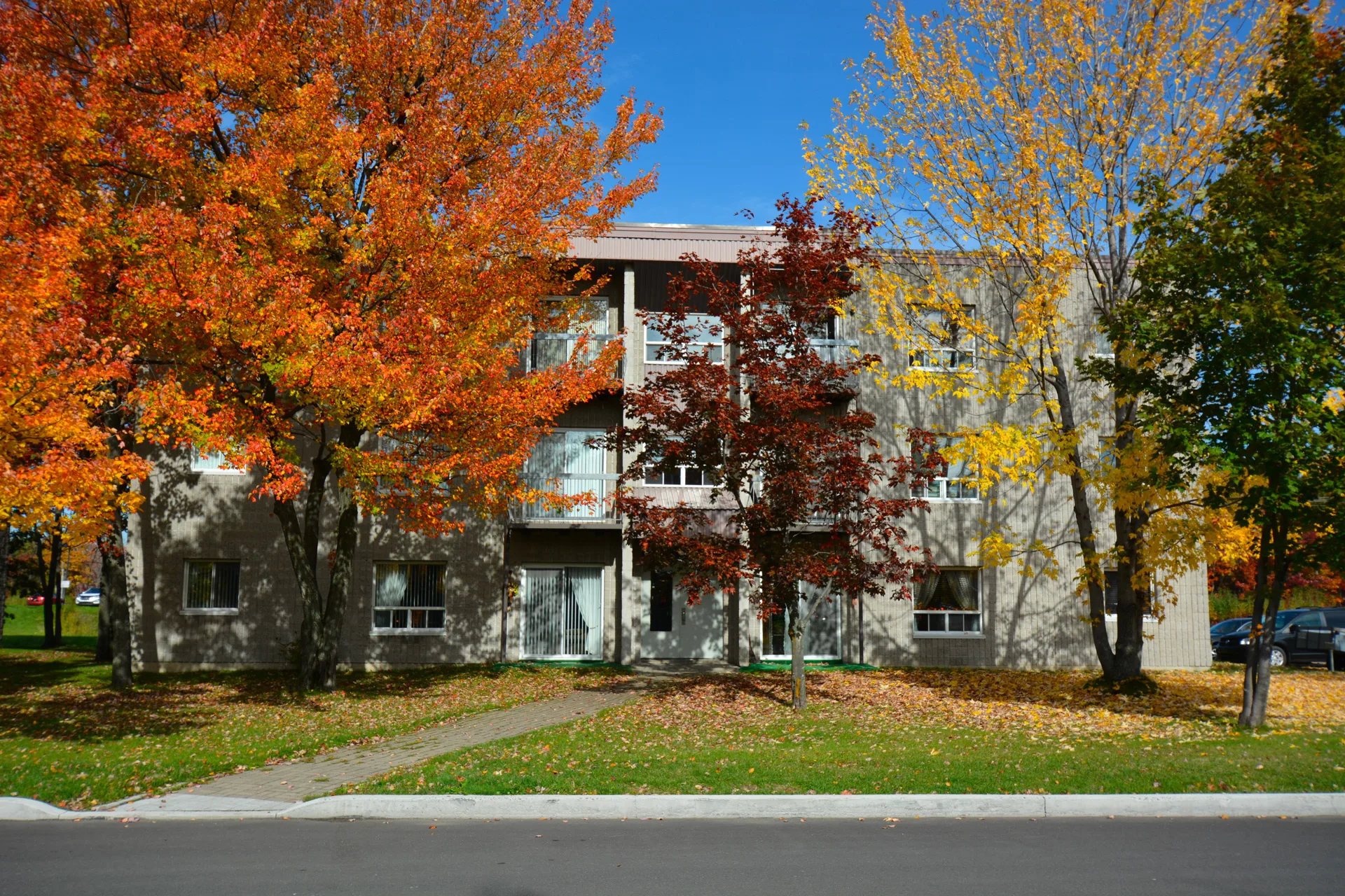 9001, 9024, 9025 et 9032 rue de l’Attisée, Lévis — photo 1